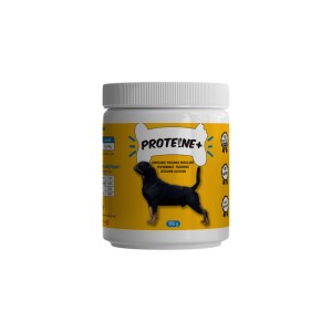 SPOOKY & DIVA PROTEINE PLUS 500GR PHARMASHOP