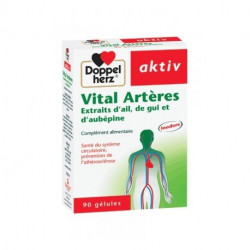 AKTIV VITAL ARTERES, 90 Gélules