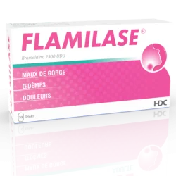 FLAMILASE 10 GELULES