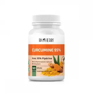BIOHERBS CURCUMINE 95% 60 GELULES PHARMASHOP