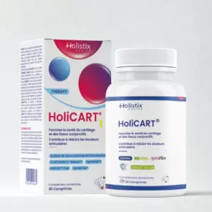 HOLISTIX HOLICART 90 COMPRIMES PHARMASHOP