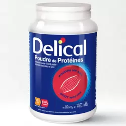 DELICAL POUDRE DE PROTEINES 400G