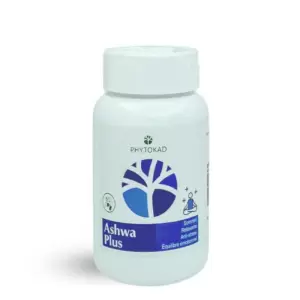 PHYTOKAD ASHWAPLUS 60 GELULES PHARMASHOP